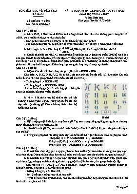 Đề thi chọn học sinh giỏi môn Sinh học 9 - Năm học 2016-2017 - Sở GD & ĐT Hà Nam